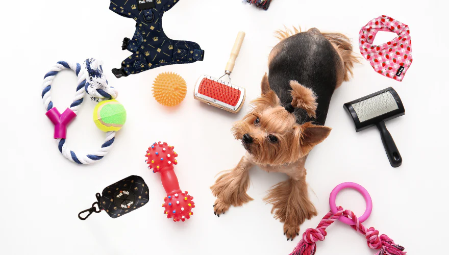 Dogs & Accessories