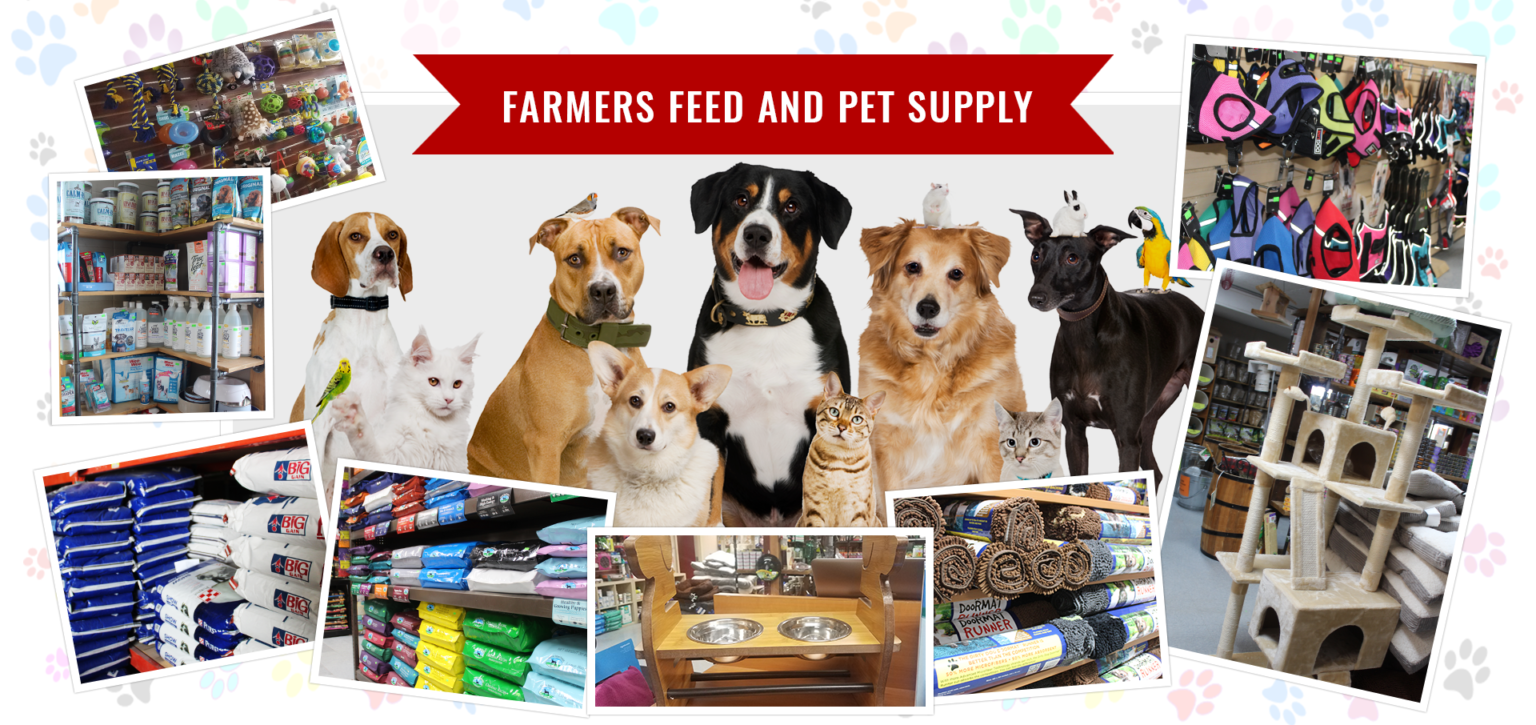 Pet supplies & Livestock